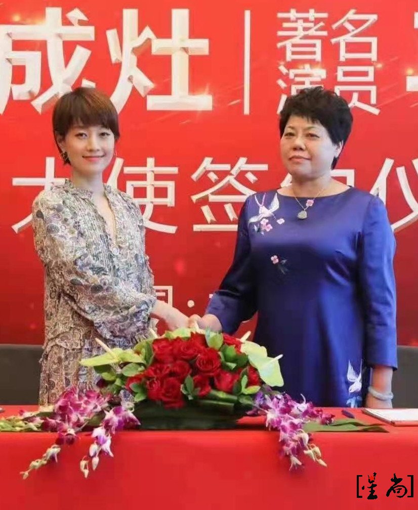 馬伊琍代言科大集成灶